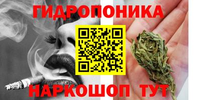 эйфоретик Ставрополь